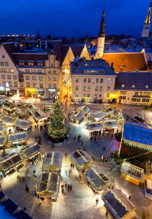 Study in Estonia Career Ladder Study Abroad